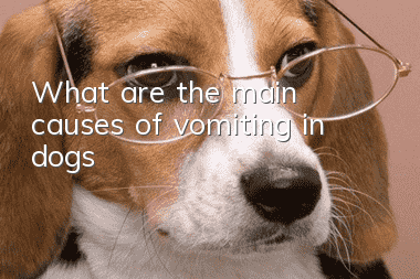 What are the main causes of vomiting in dogs?