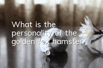 What is the personality of the golden fox hamster?