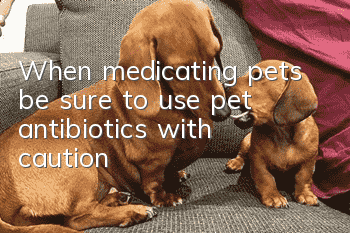 When medicating pets, be sure to use pet antibiotics with caution!