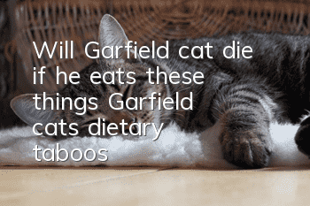 Will Garfield cat die if he eats these things? Garfield cat’s dietary taboos!