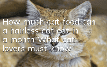 How much cat food can a hairless cat eat in a month? What cat lovers must know!