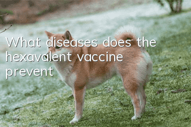 What diseases does the hexavalent vaccine prevent?