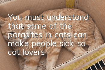 You must understand that some of the parasites in cats can make people sick, so cat lovers should pay attention!