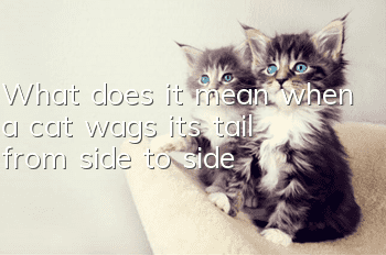 What does it mean when a cat wags its tail from side to side?