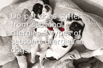 Do pet dogs suffer from seasonal allergies? 3 types of seasonal allergies in dogs!