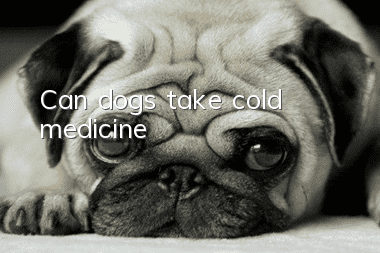 Can dogs take cold medicine?