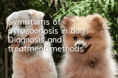 Symptoms of pyrozoonosis in dogs | Diagnosis and treatment methods