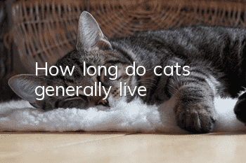 How long do cats generally live?