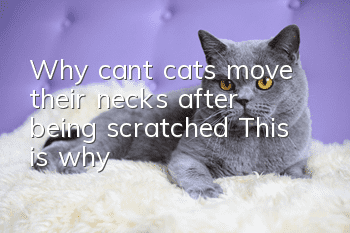 Why can’t cats move their necks after being scratched? This is why!