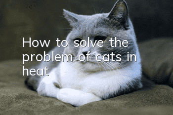 How to solve the problem of cats in heat?