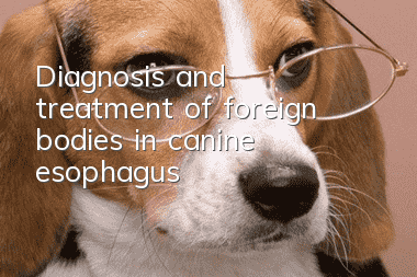 Diagnosis and treatment of foreign bodies in canine esophagus