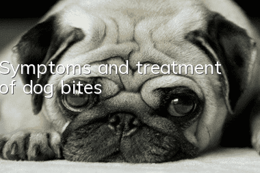 Symptoms and treatment of dog bites