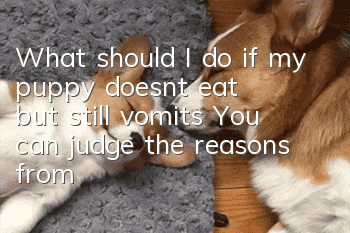 What should I do if my puppy doesn’t eat but still vomits? You can judge the reasons from the following aspects!