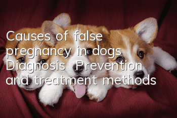 Causes of false pregnancy in dogs | Diagnosis | Prevention and treatment methods