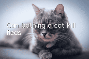 Can bathing a cat kill fleas?